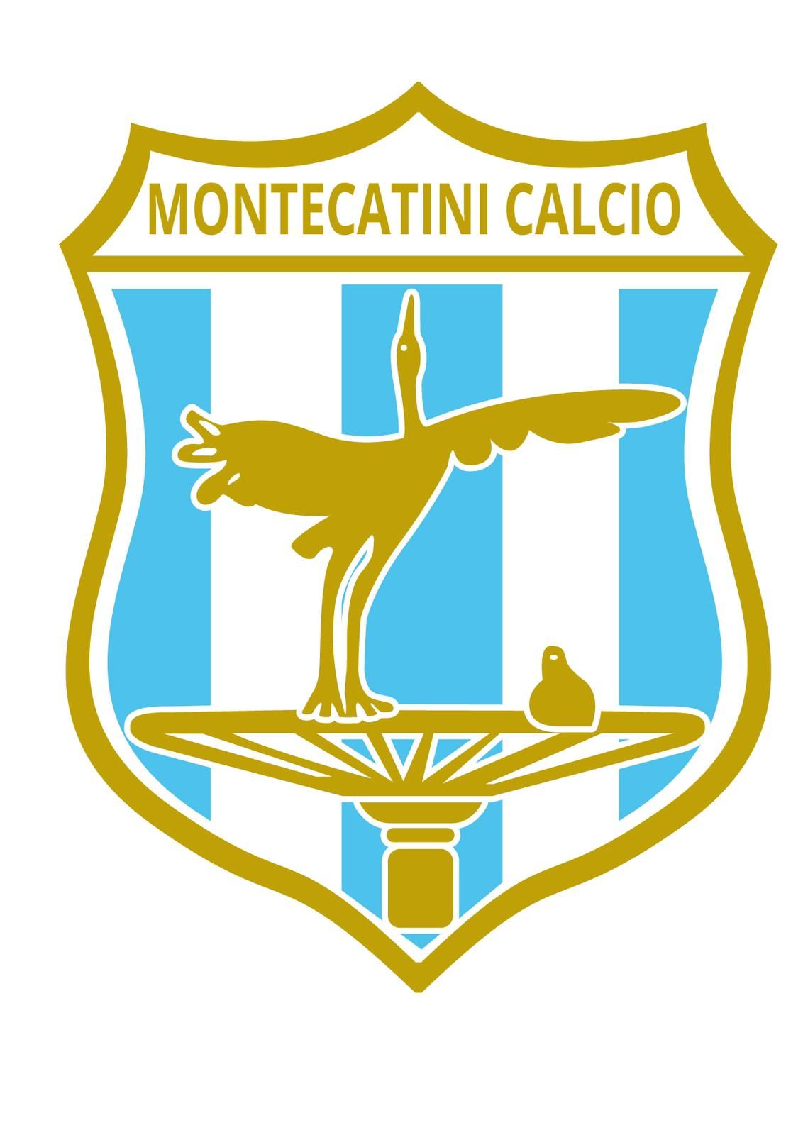 Montecatini Calcio